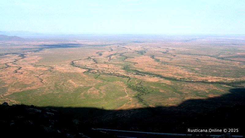 2006_0729Image0016-min