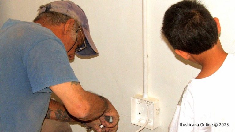 DSCF3230-min-768x433 DSCF3230-min-768x433