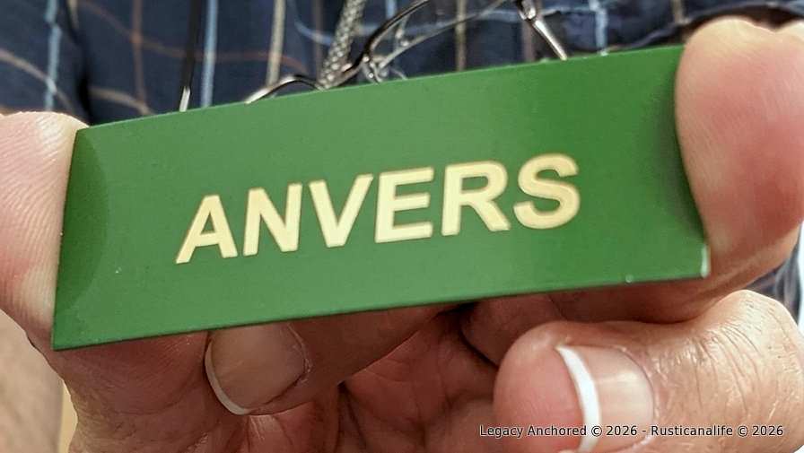 anvers-min